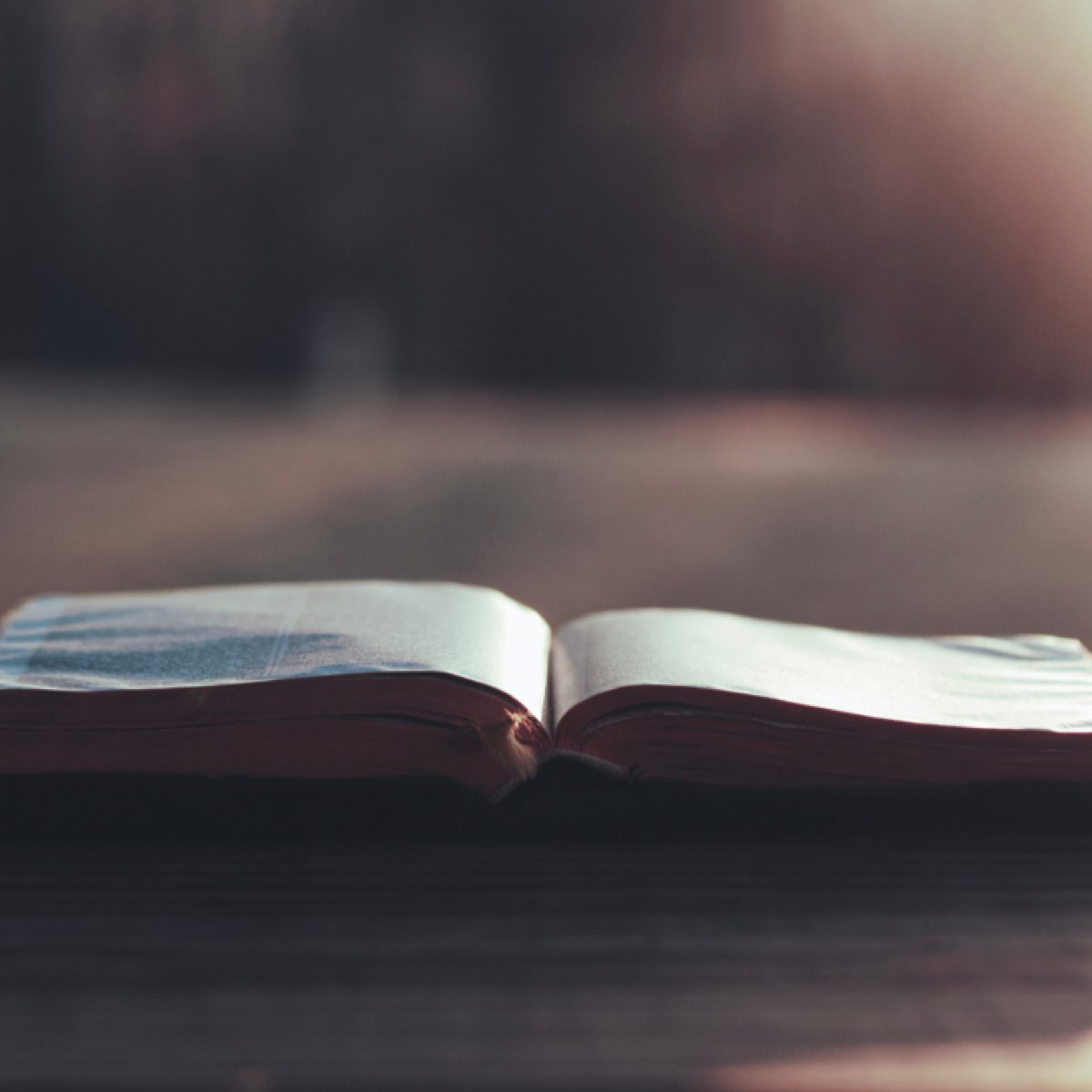 read-daily-devotionals