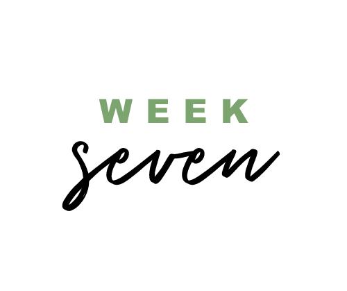 Week 7 