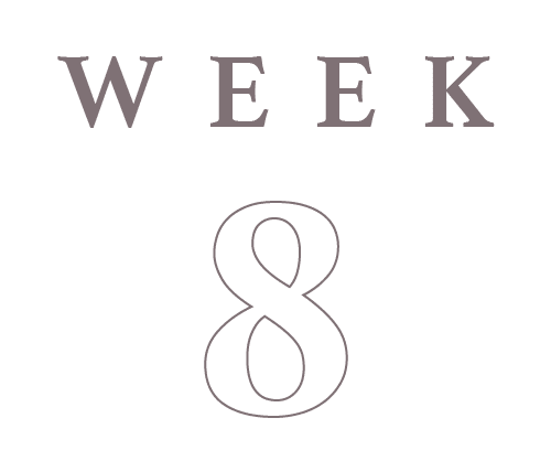 Week 8 