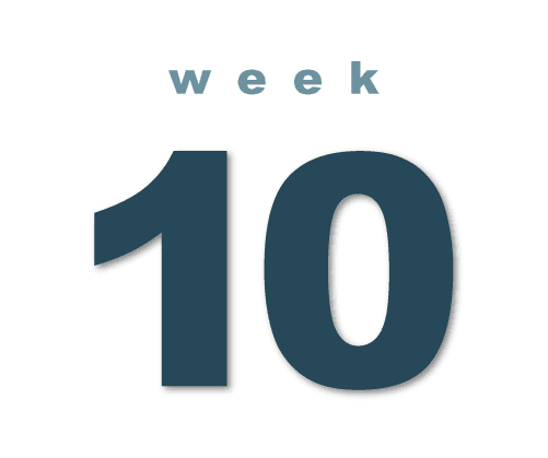 Week 10 