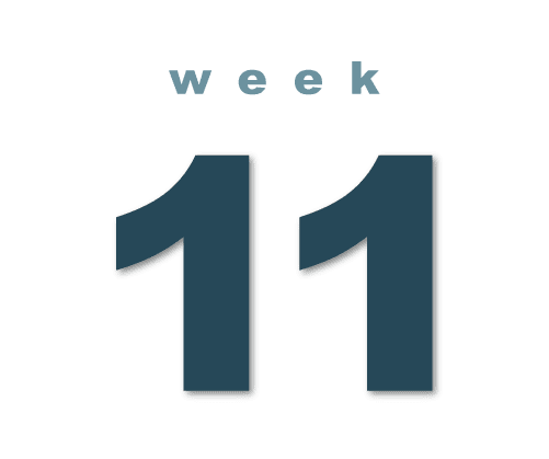 Week 11 