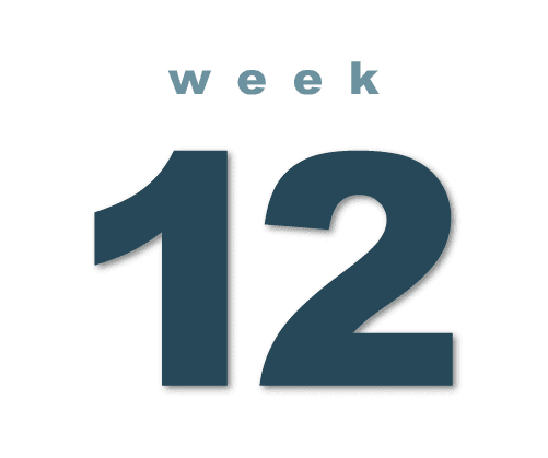 Week 12 