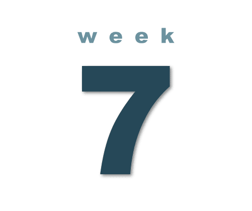 Week 7 