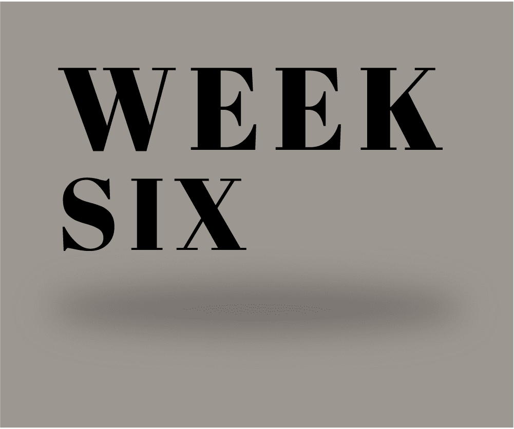 Week 6 