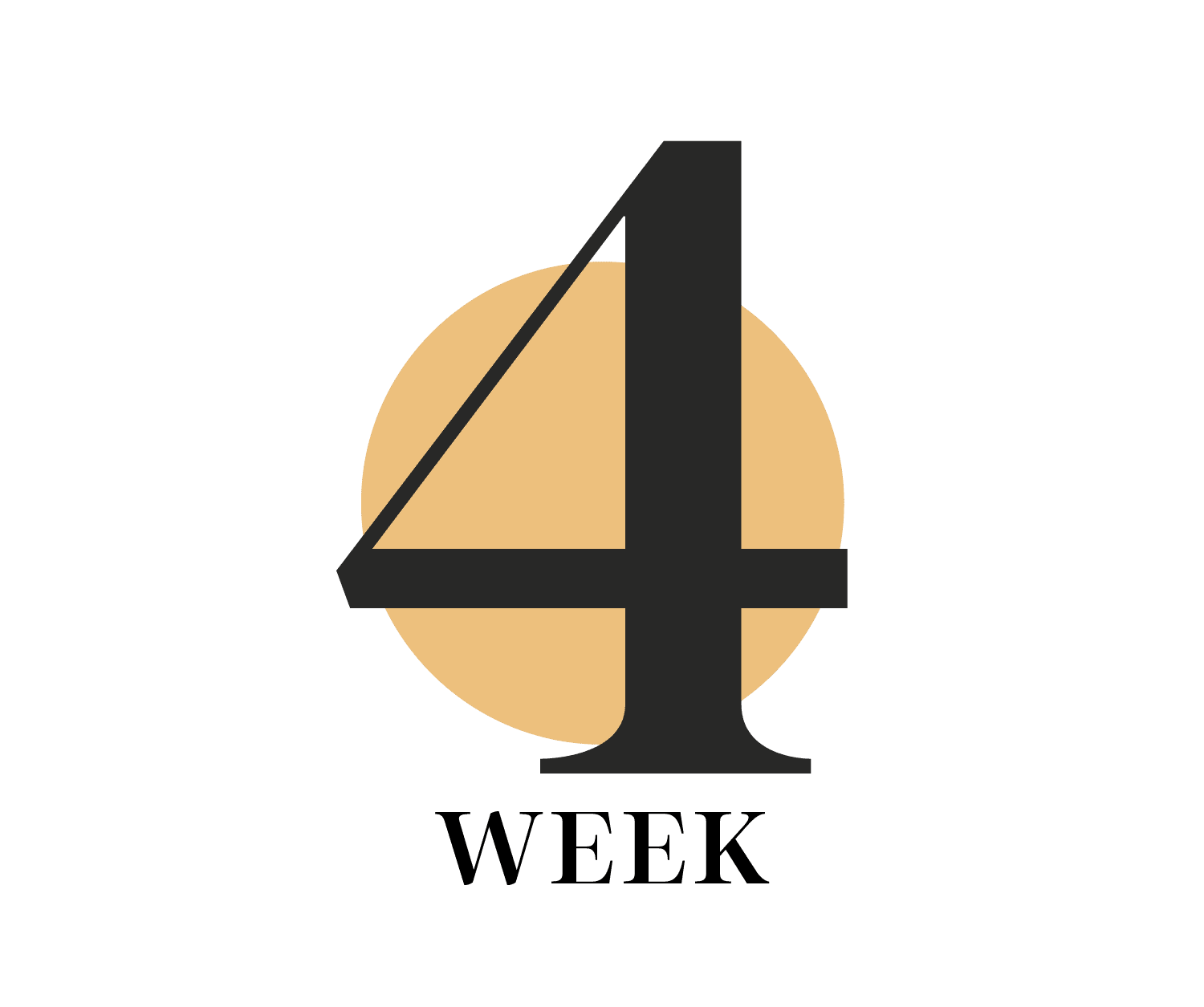 Week 4 