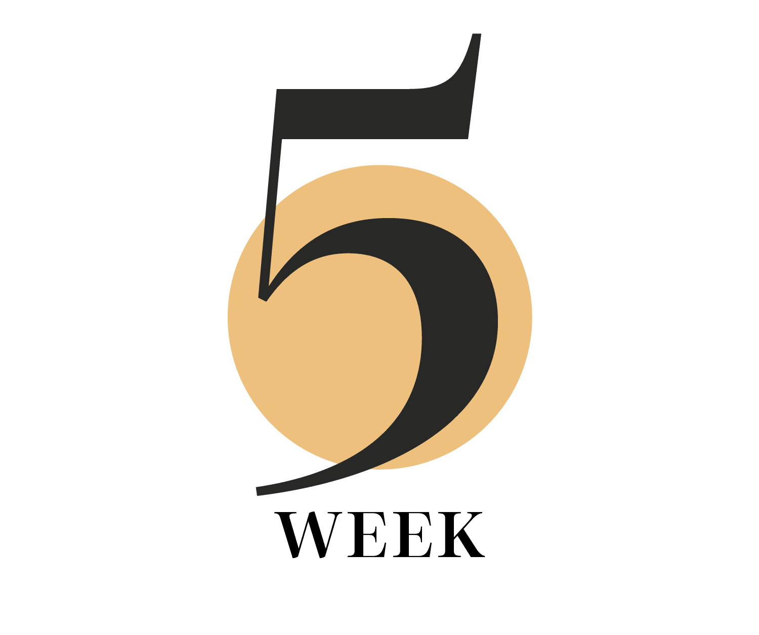 Week 5 