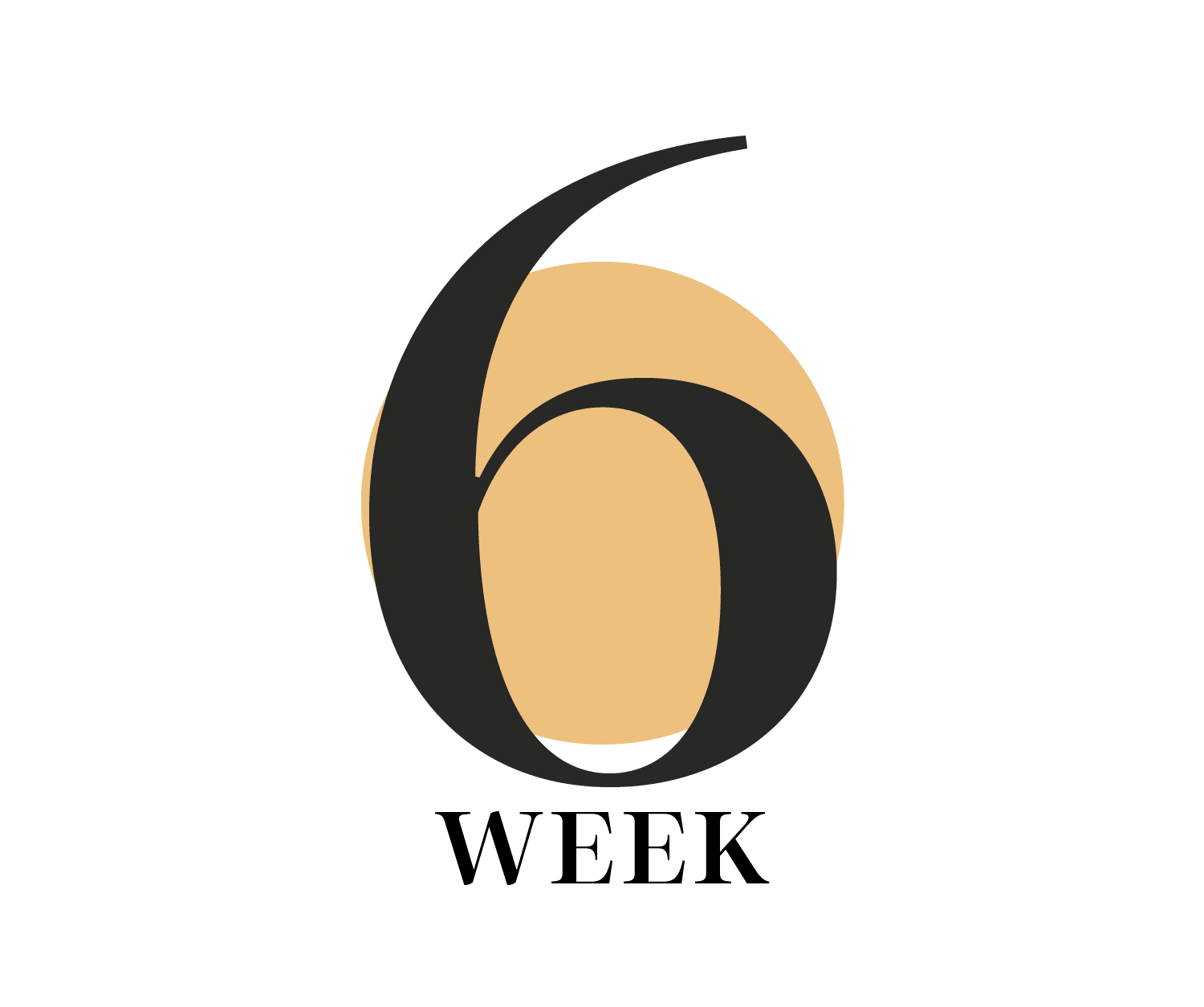 Week 6