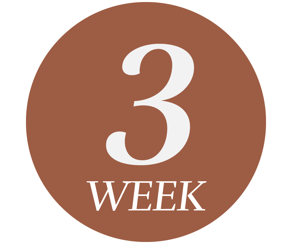 Week 3 